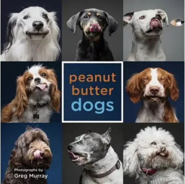Pet Lover's Bundle - Image 3
